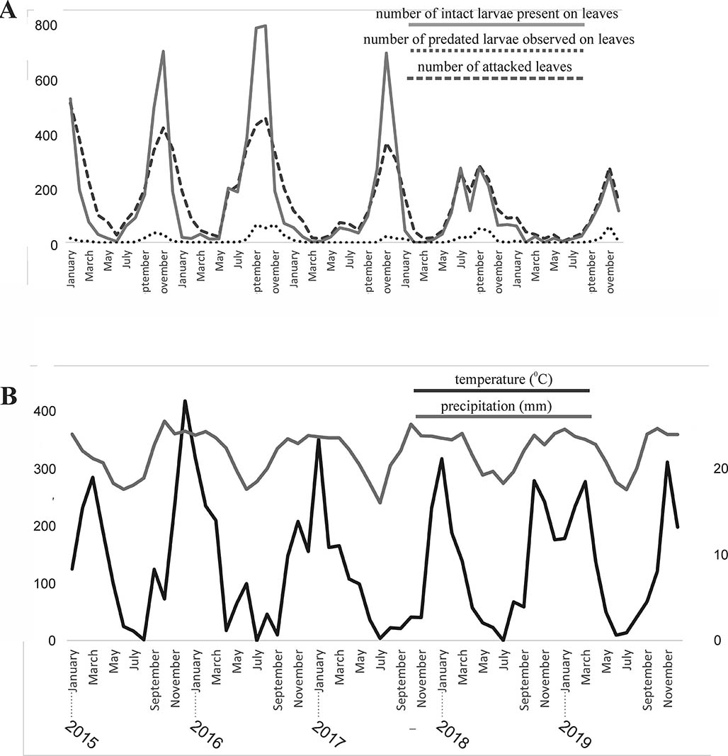 A: Variation in observed values of biological parameters (AL, number of attacked leaves; IL, number of intact larvae present on leaves; PL, number of predated larvae observed on leaves). B: Variation in observed values of abiotic parameters (mean monthly temperature; total monthly precipitation).